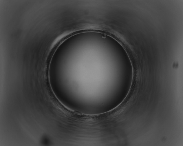 X0000091471222200708301846