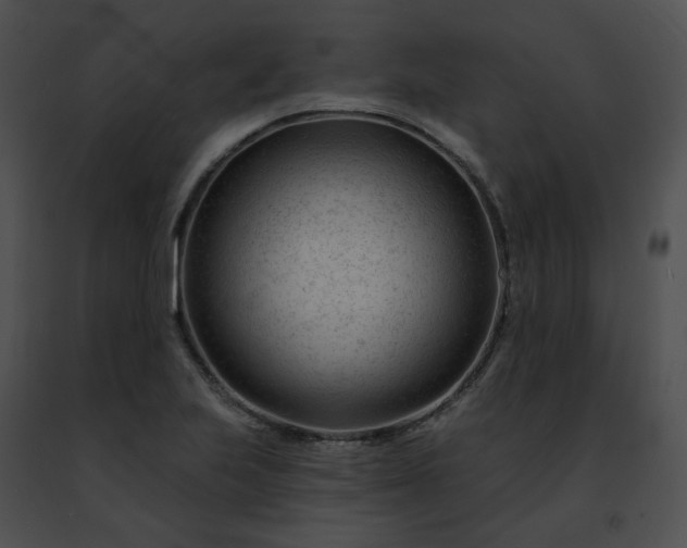 X0000091471223200708301846