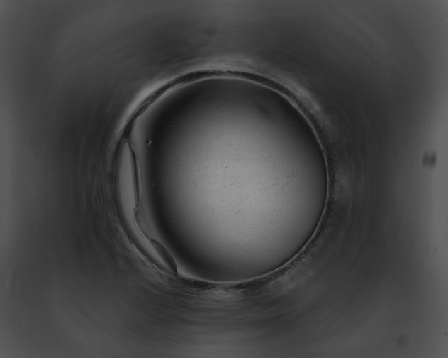 X0000091471224200708301846