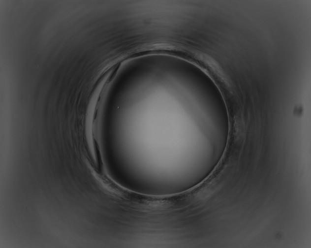 X0000091471225200708301846