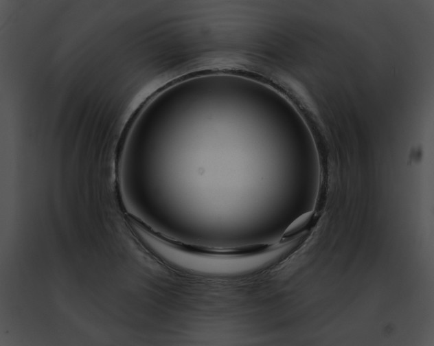 X0000091471226200708301846