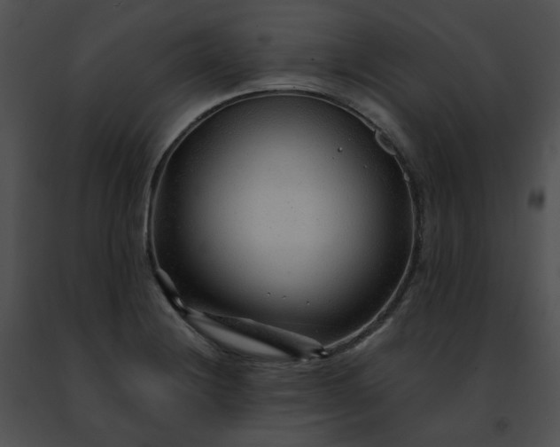 X0000091471228200708301846