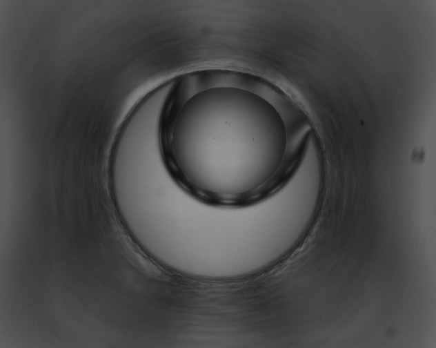 X0000091471230200708301846