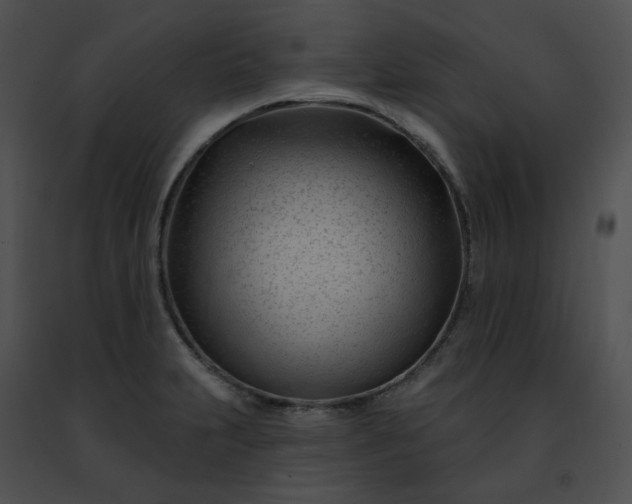 X0000091471231200708301846