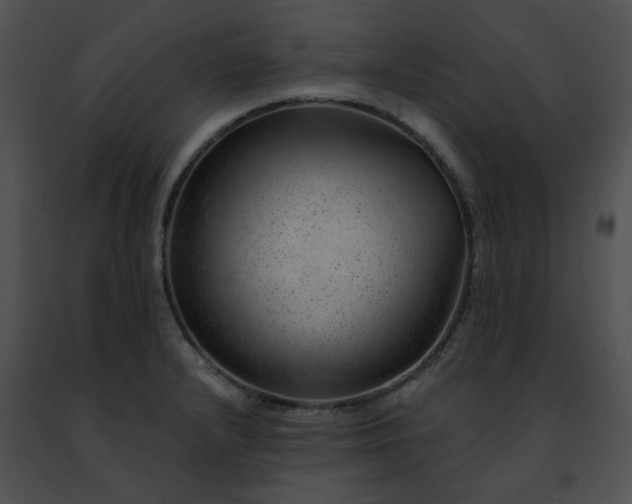 X0000091471232200708301846