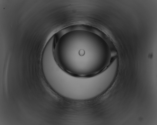 X0000091471234200708301846