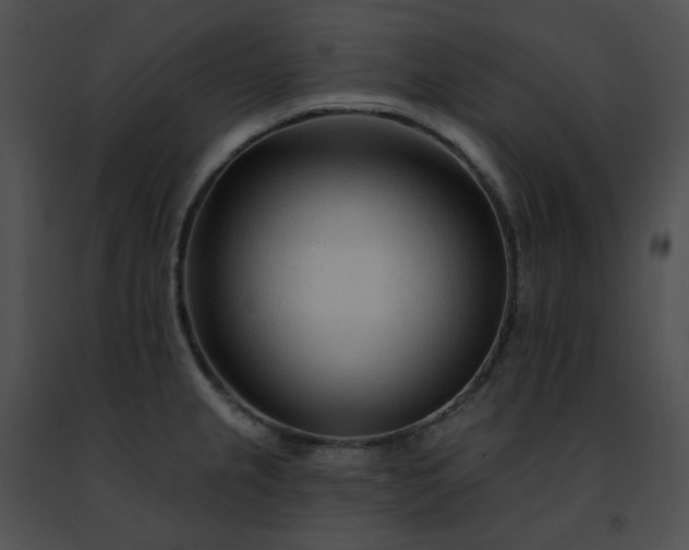 X0000091471237200708301846