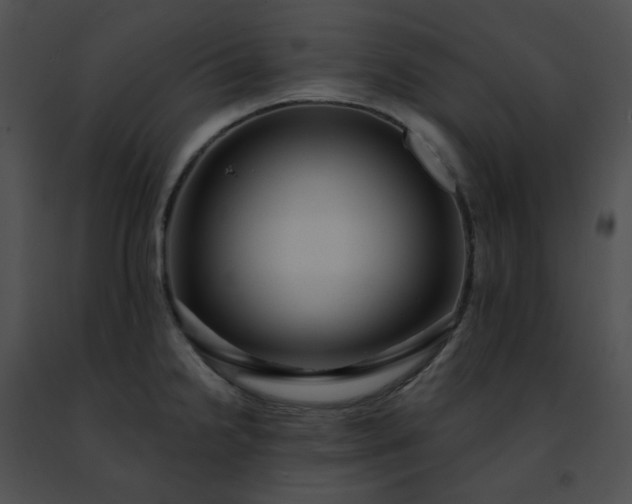 X0000091471238200708301846