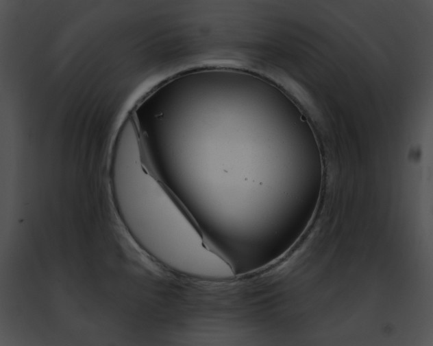 X0000091471240200708301846