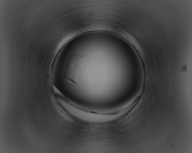 X0000091471242200708301846