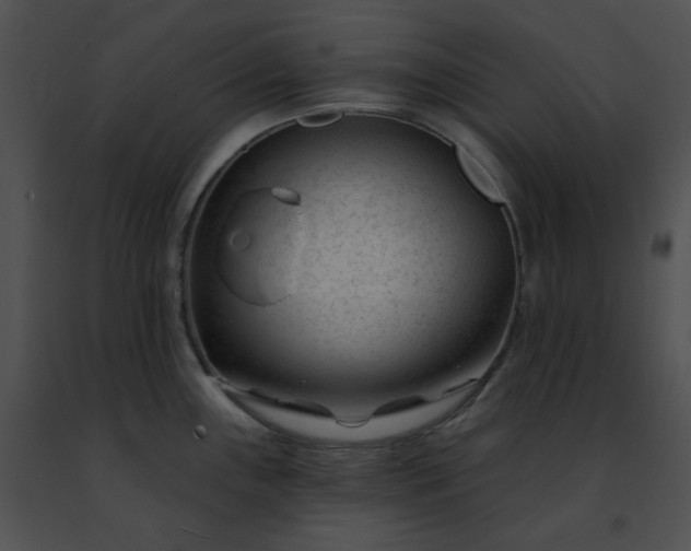 X0000091471243200708301847