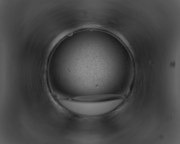 X0000091471245200708301847