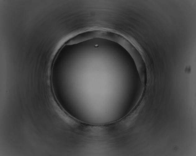 X0000091471246200708301847