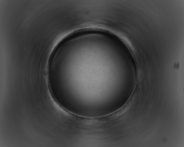 X0000091471247200708301847