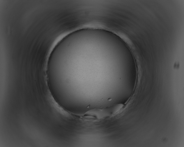 X0000091471248200708301847