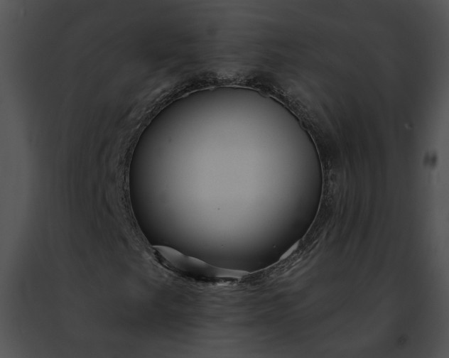 X0000091471249200708301846