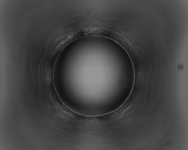 X0000091471250200708301846