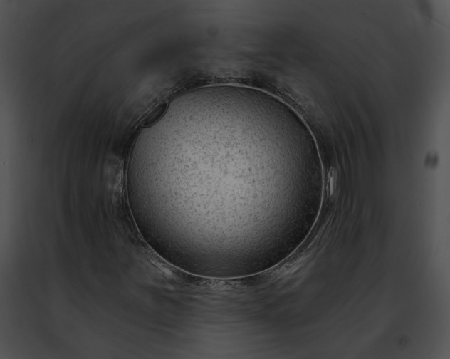 X0000091471251200708301846