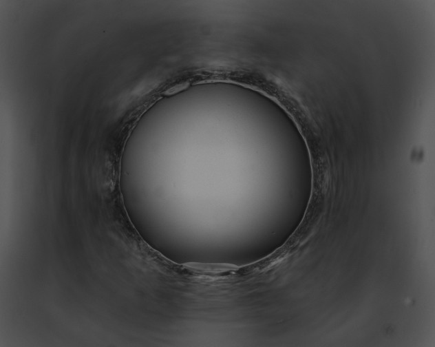 X0000091471253200708301846