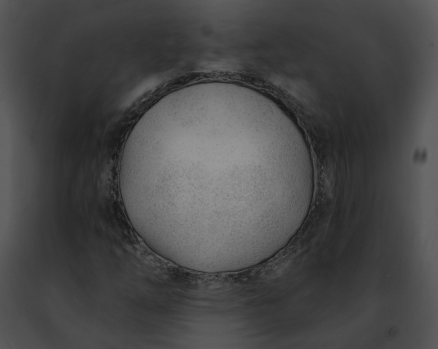 X0000091471254200708301846