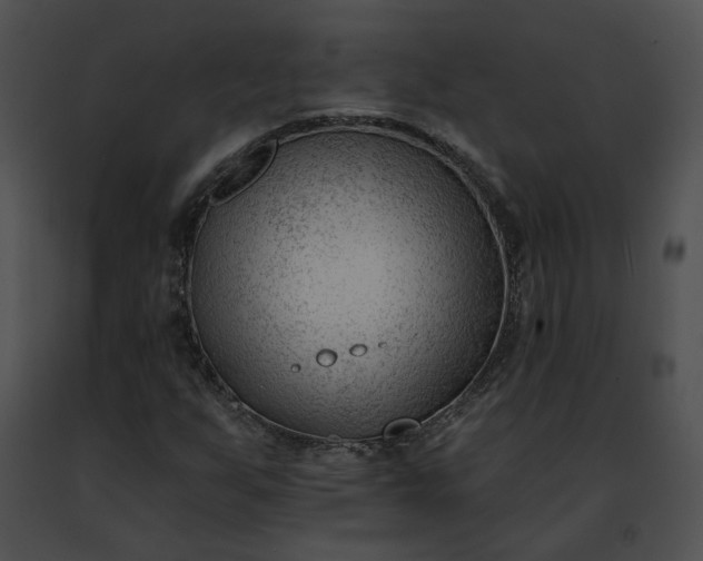 X0000091471255200708301846