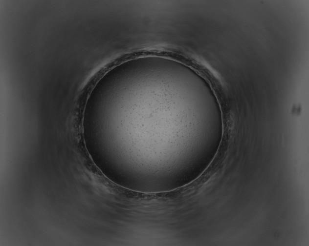 X0000091471256200708301846