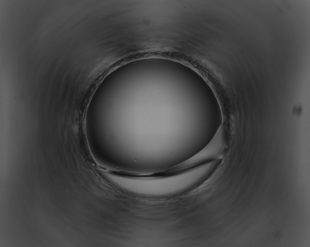 X0000091471257200708301846