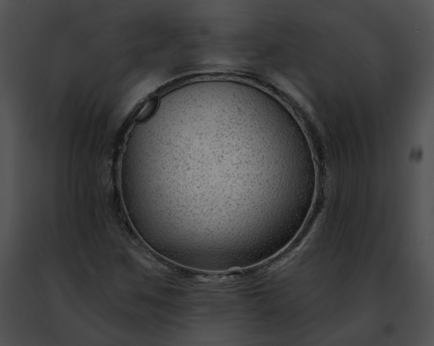 X0000091471259200708301846