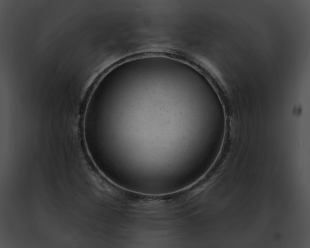 X0000091471260200708301846