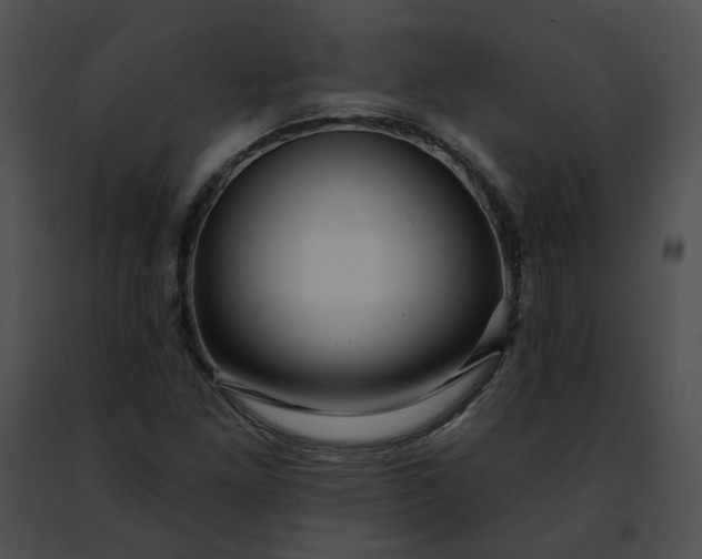 X0000091471261200708301846