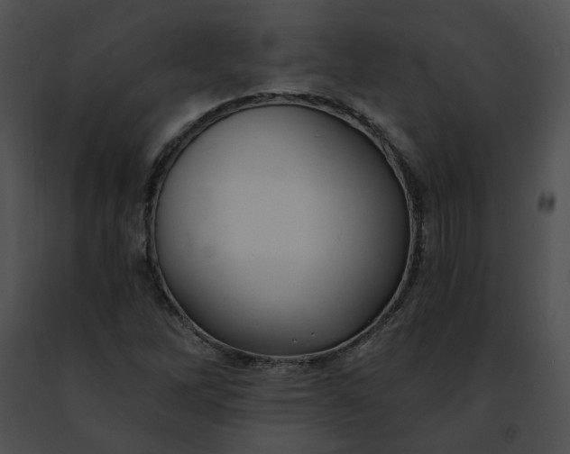 X0000091471262200708301846