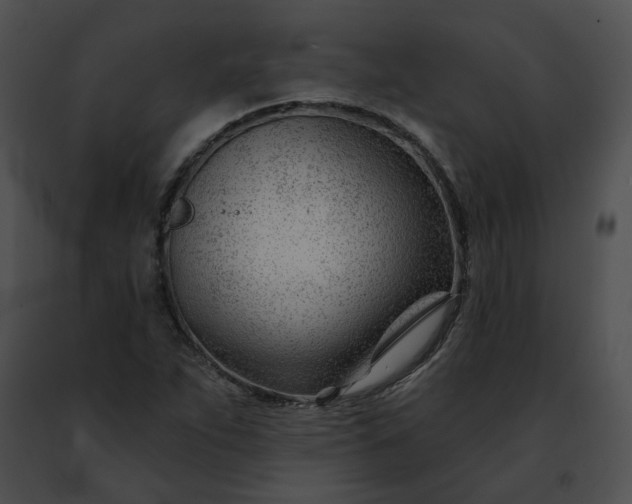 X0000091471263200708301846