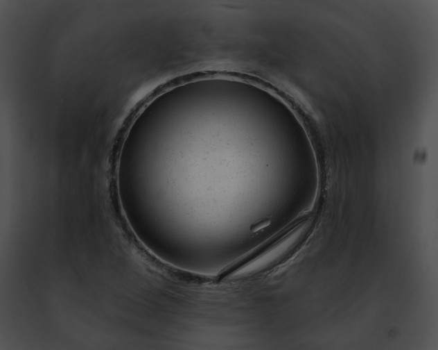 X0000091471264200708301846