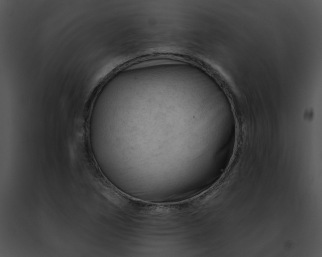 X0000091471266200708301846