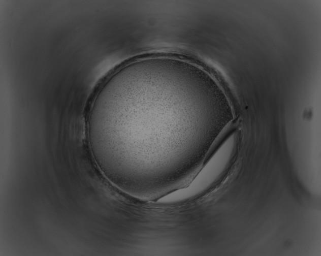 X0000091471267200708301846