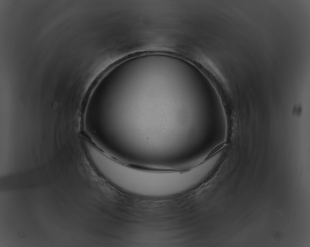 X0000091471268200708301846