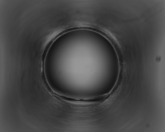 X0000091471269200708301846