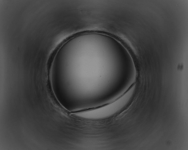 X0000091471270200708301846