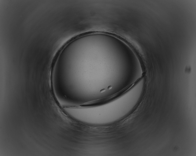 X0000091471272200708301846