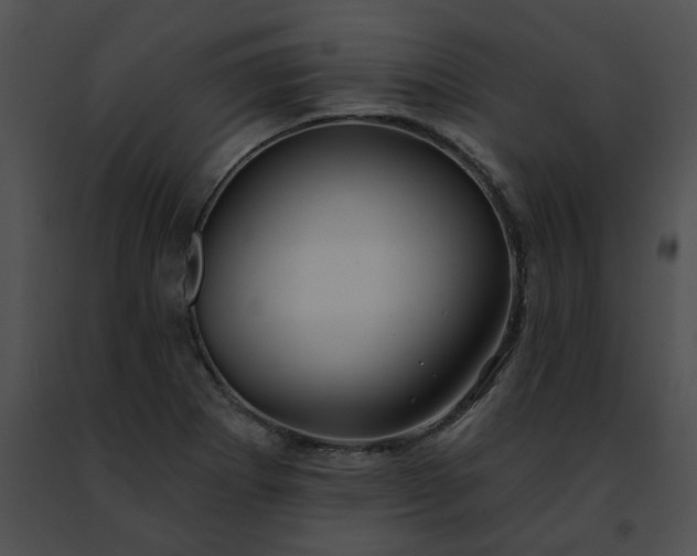 X0000091471273200708301846