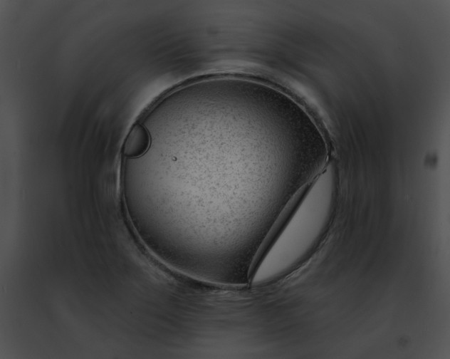 X0000091471275200708301845