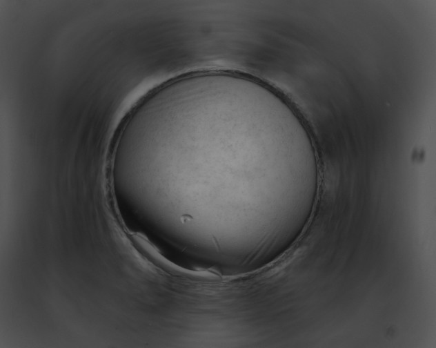 X0000091471278200708301845