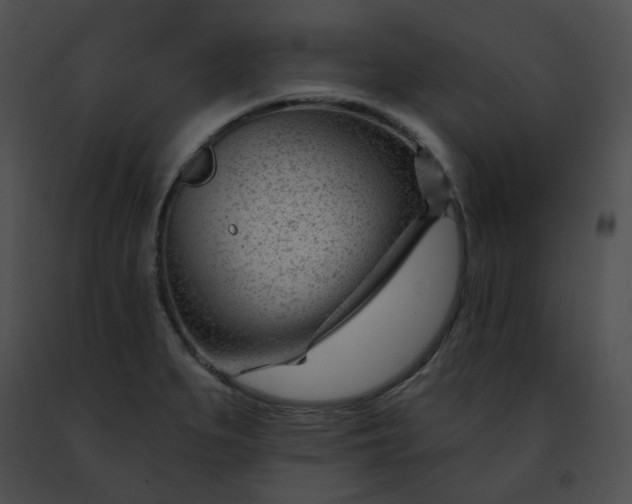 X0000091471279200708301845