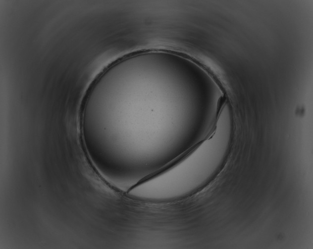 X0000091471280200708301845