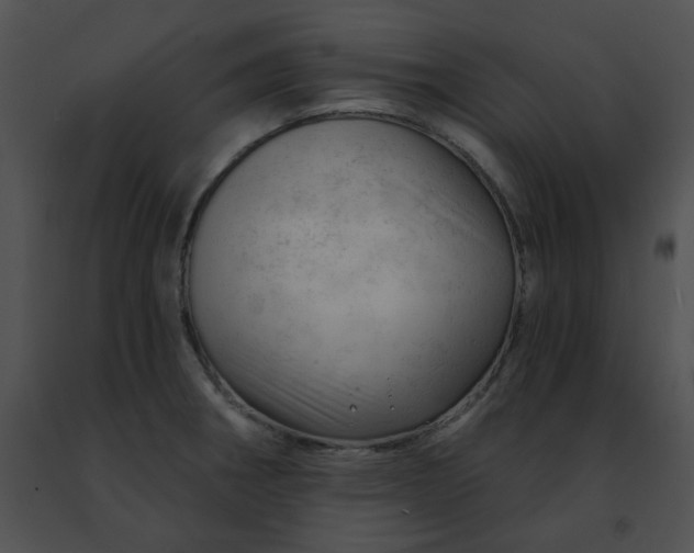 X0000091471282200708301845