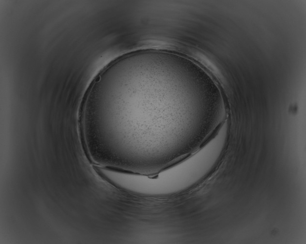 X0000091471283200708301845