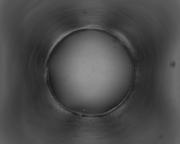 X0000091471284200708301845