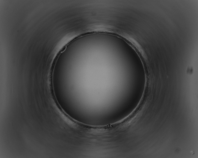 X0000091471285200708301845