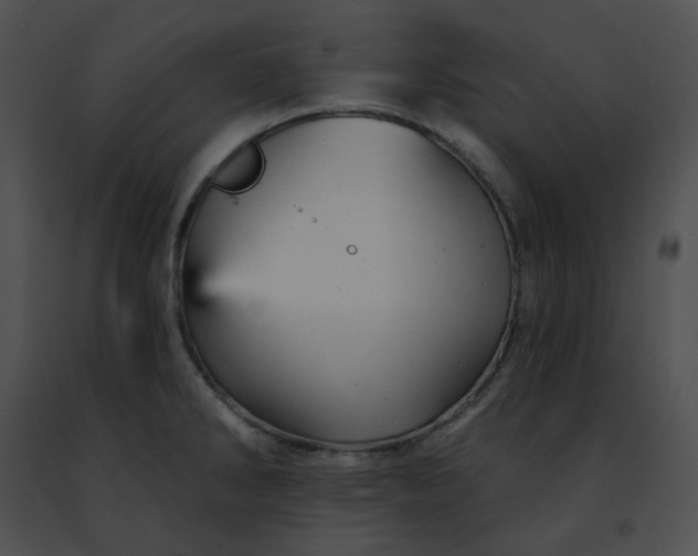 X0000091471286200708301845