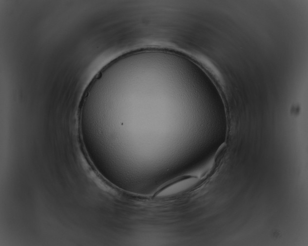 X0000091471287200708301845